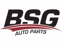 aldoc-partners-bsg-automotive