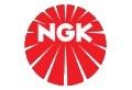 aldoc-partners-ngk-spark-plug-europe